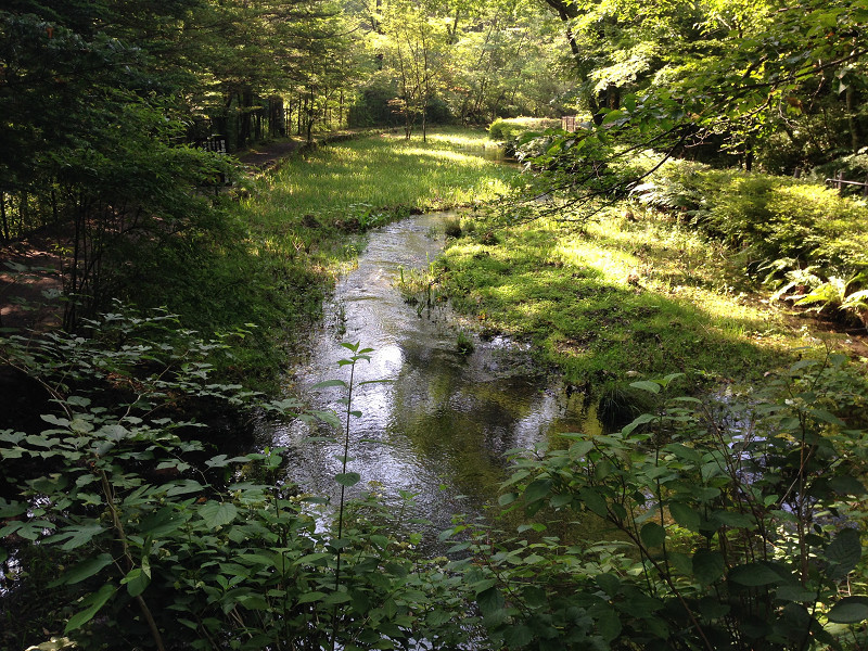 e0136424_11305021.jpg