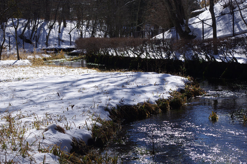 e0136424_11311213.jpg
