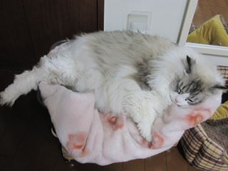 c0053625_233316.jpg