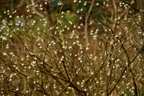 e0335926_00283124.jpg