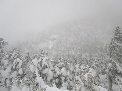 c0090236_14292332.jpg