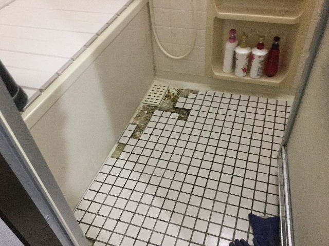 浴室・床改修工事ペディシート_f0031037_17305953.jpg