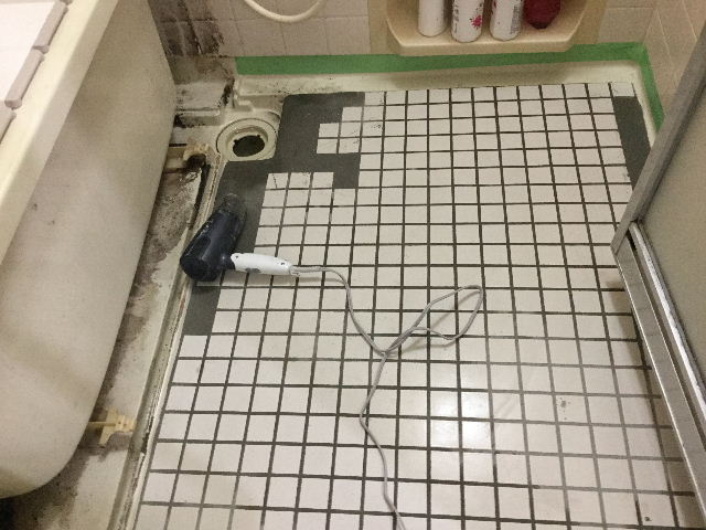 浴室・床改修工事ペディシート_f0031037_1734784.jpg