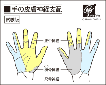 咳を止めたいなら、スマホ姿勢を止めましょう〜ある日の施術より〜_e0073240_7354930.gif