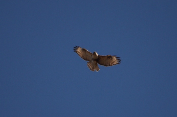 c0269342_22474876.jpg