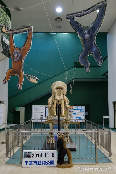 14 11 08 千葉市動物公園7 動物科学館 墨色の鳥籠 14 11 08 千葉市動物公園7 動物科学館 墨色の鳥籠