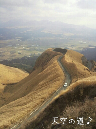 d0314745_18554.jpg
