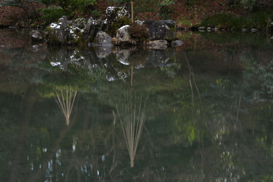 c0093046_6243117.gif