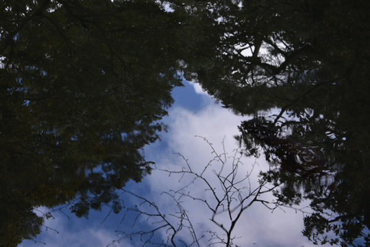 c0093046_6244672.gif