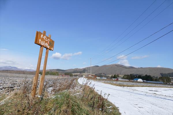 函館の羊さん めぇ_d0179447_20271587.jpg