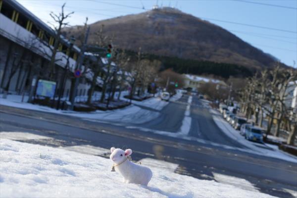 函館の雪とヒツジ　2015年の年賀状_d0179447_2211353.jpg