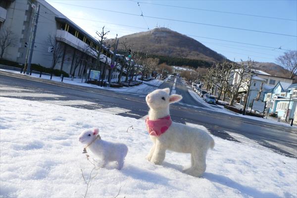 函館の雪とヒツジ 2015年の年賀状_d0179447_22143562.jpg