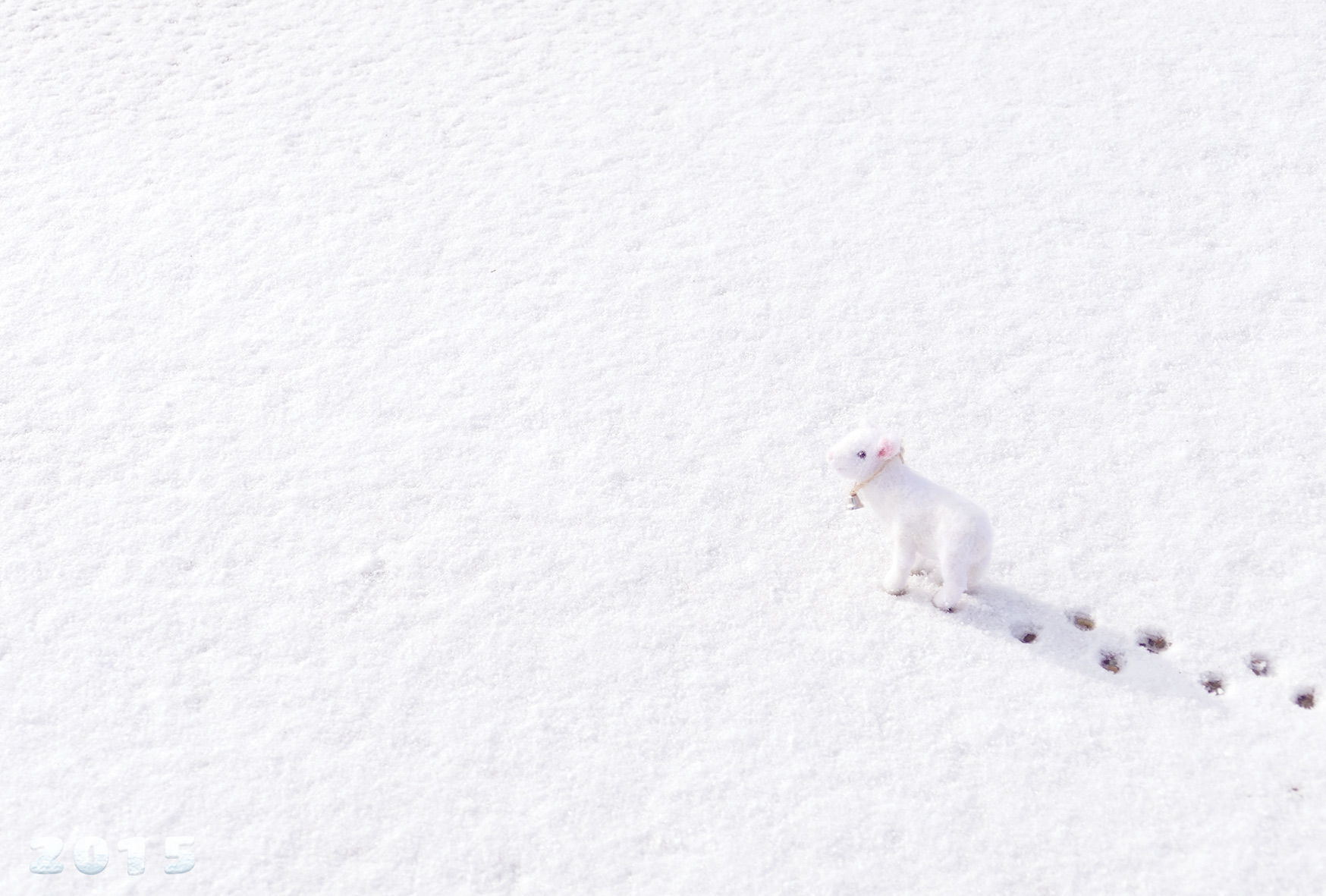 函館の雪とヒツジ　2015年の年賀状_d0179447_2253674.jpg