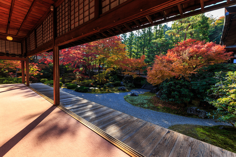 泉涌寺・御座所庭園の錦_f0155048_20451868.jpg