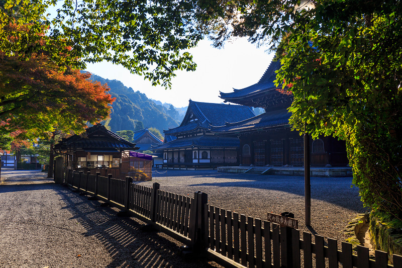 泉涌寺・御座所庭園の錦_f0155048_20454477.jpg