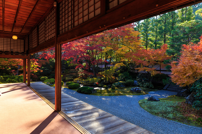 泉涌寺・御座所庭園の錦_f0155048_20462352.jpg