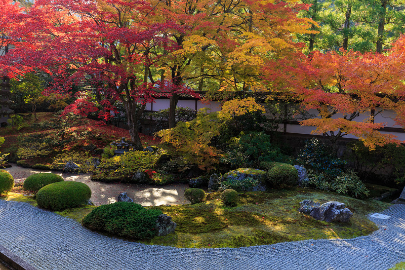 泉涌寺・御座所庭園の錦_f0155048_20464126.jpg