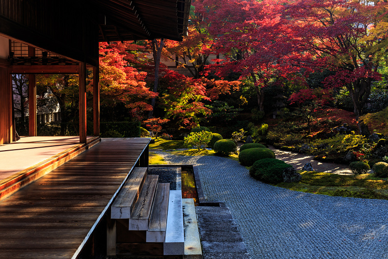 泉涌寺・御座所庭園の錦_f0155048_20471175.jpg