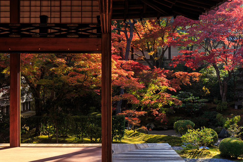 泉涌寺・御座所庭園の錦_f0155048_20473431.jpg