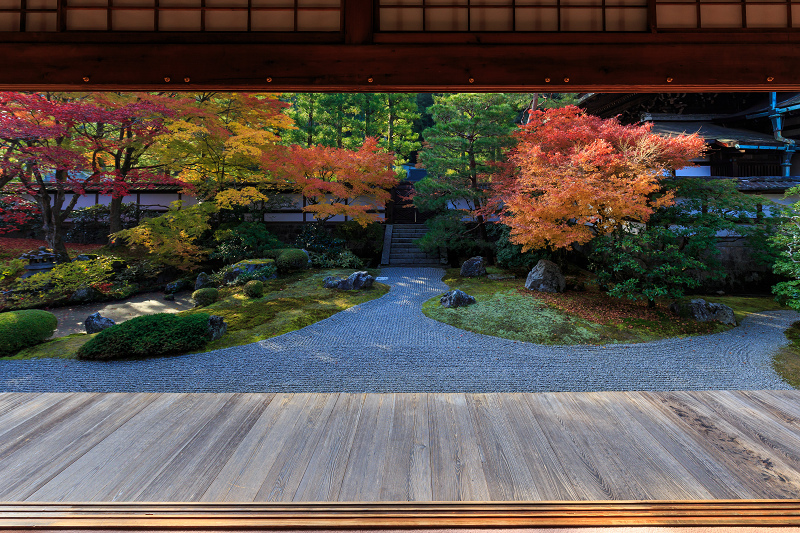 泉涌寺・御座所庭園の錦_f0155048_20484627.jpg