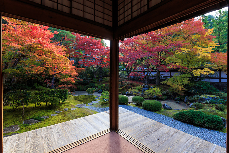 泉涌寺・御座所庭園の錦_f0155048_20493313.jpg