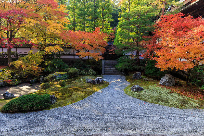 泉涌寺・御座所庭園の錦_f0155048_2049460.jpg