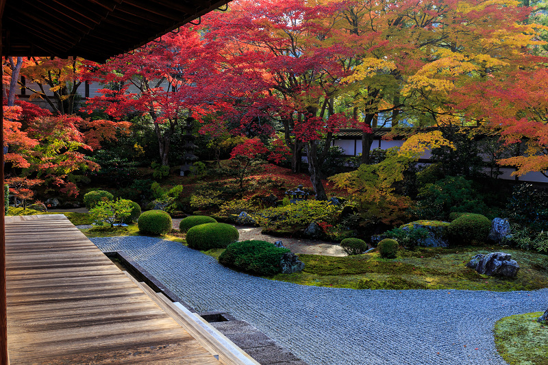 泉涌寺・御座所庭園の錦_f0155048_20501813.jpg