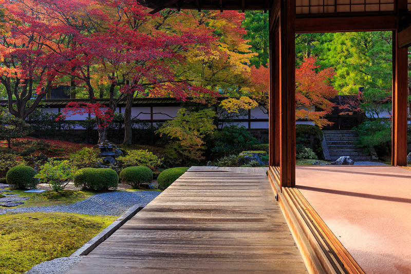 泉涌寺・御座所庭園の錦_f0155048_20524742.jpg