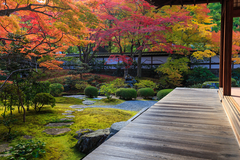 泉涌寺・御座所庭園の錦_f0155048_20531480.jpg