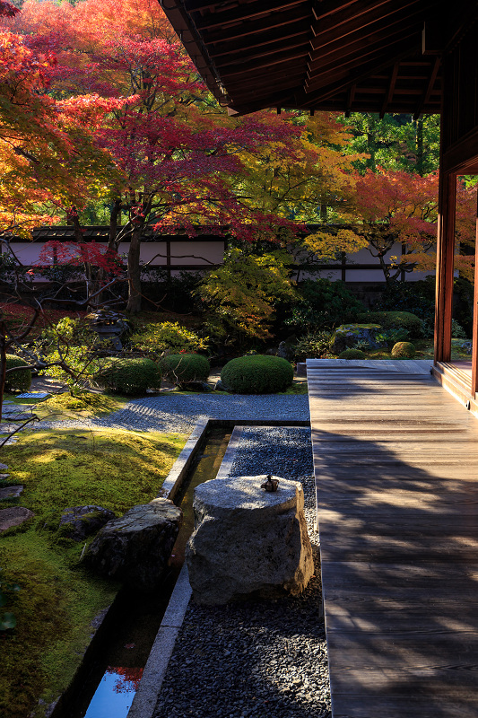泉涌寺・御座所庭園の錦_f0155048_20541938.jpg
