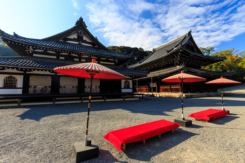 泉涌寺・御座所庭園の錦_f0155048_20554682.jpg