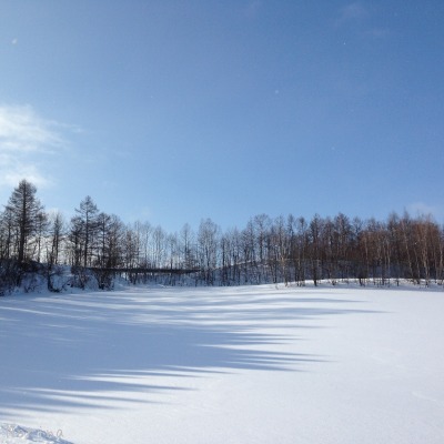e0326953_21324679.jpg