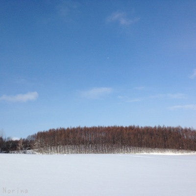 e0326953_2133781.jpg
