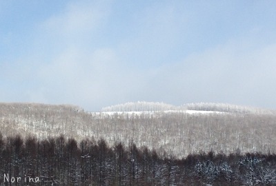 e0326953_21421134.jpg