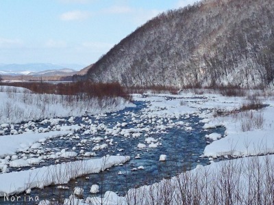 e0326953_21513557.jpg