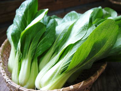 チンゲン菜 無農薬・無加温栽培のチンゲン菜!朝採り即日発送で大好評発売中!!_a0254656_1802841.jpg