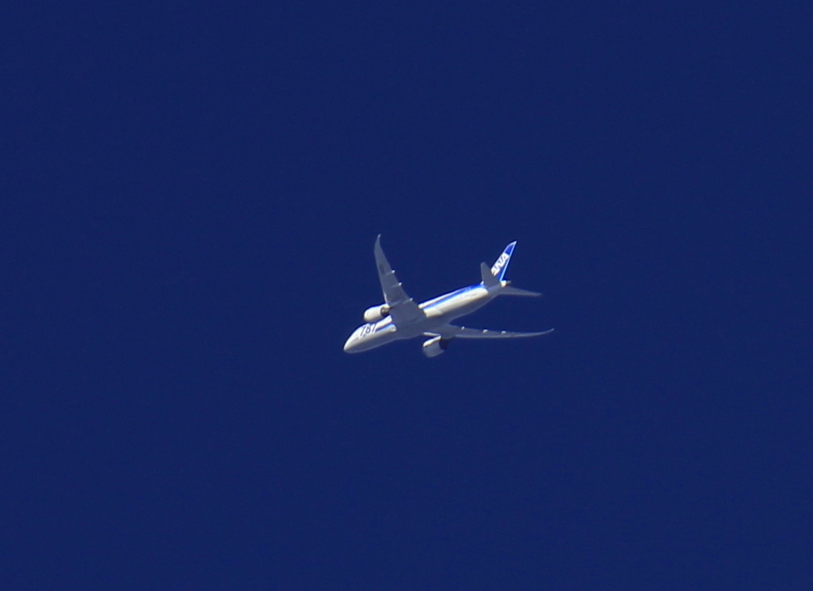 a0248459_19435200.jpg