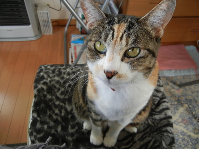 ’15,1,24(土)残念なランチ!_f0060461_17261016.jpg