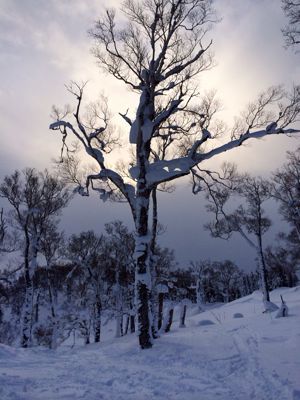 北海道⭐️_c0151965_1735548.jpg