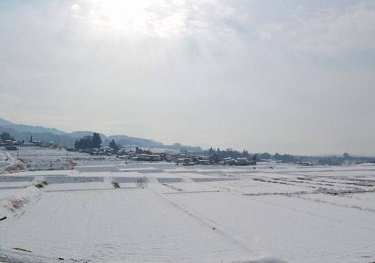 b0102572_2304330.jpg