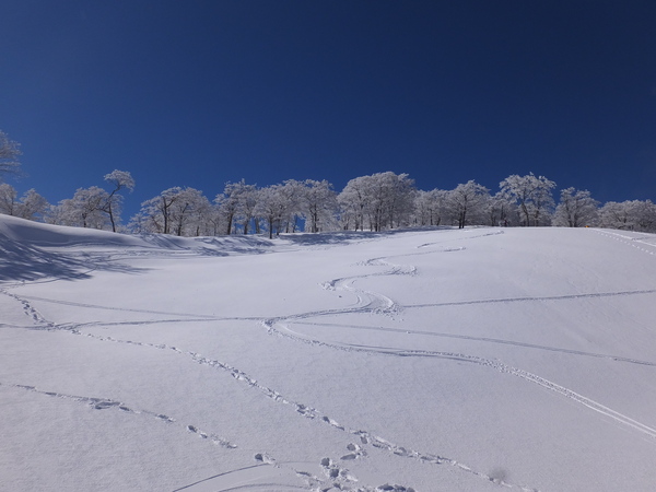 【明神平の冬②】：この雪原でヒップソリ遊びをするのは爽快感があって最高です！_c0066176_71603.jpg