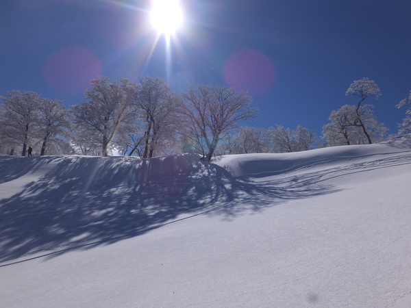 【明神平の冬②】：この雪原でヒップソリ遊びをするのは爽快感があって最高です！_c0066176_7243712.jpg