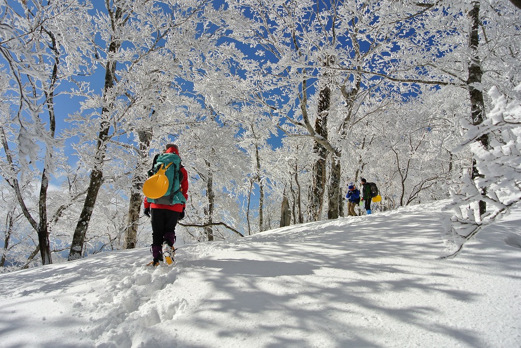 【明神平の冬②】：この雪原でヒップソリ遊びをするのは爽快感があって最高です！_c0066176_7324139.jpg