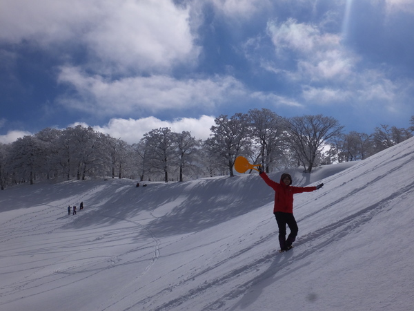 【明神平の冬②】：この雪原でヒップソリ遊びをするのは爽快感があって最高です！_c0066176_7333923.jpg