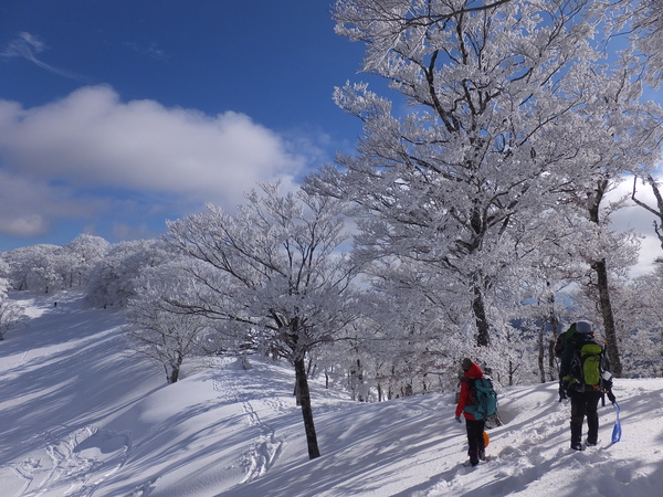 【明神平の冬②】：この雪原でヒップソリ遊びをするのは爽快感があって最高です！_c0066176_7461849.jpg