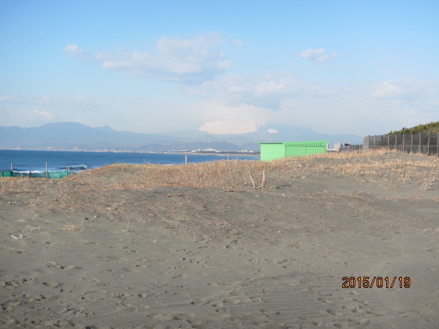 f0350477_20590590.jpg