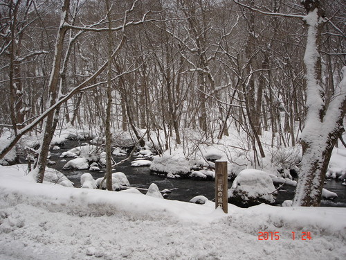 奥入瀬渓流　今朝は５ｃｍくらいの積雪がありました_d0165378_9312859.jpg