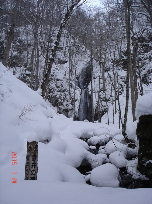 奥入瀬渓流　今朝は５ｃｍくらいの積雪がありました_d0165378_9363719.jpg
