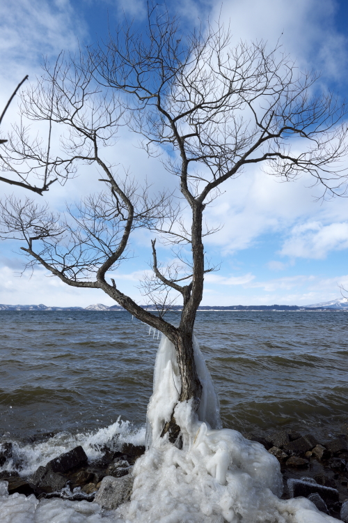 しぶき氷　＜１＞　いなわしろ湖　２０１５・０１・２４_e0143883_2159146.jpg