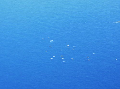 c0204385_00344945.jpg